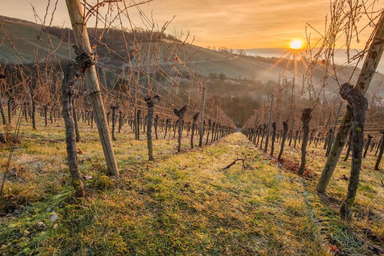 Weinstoeckl Hochgrail Pures Sein Villa Sankt Stefan ob Stainz Exteriör bild